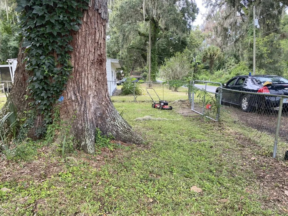 Professional lawn care service for residential properties across Lake Panasoffkee, FL - Johnson Lawn Care