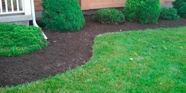 Affordable landscaping services for homes across Shadeland, IN - Johnson Lawn Care
