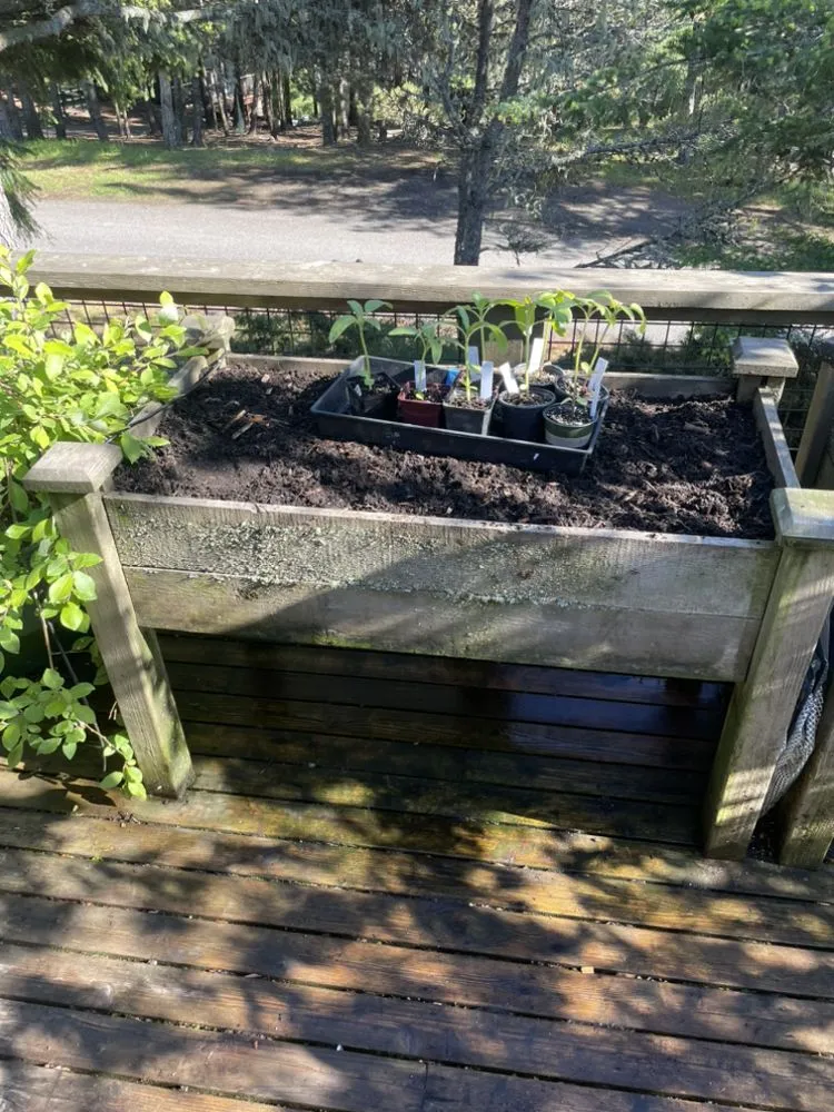 Top-rated yard maintenance for homes in Fort Benton, MT by Johnson Lawncare & Mechanic service