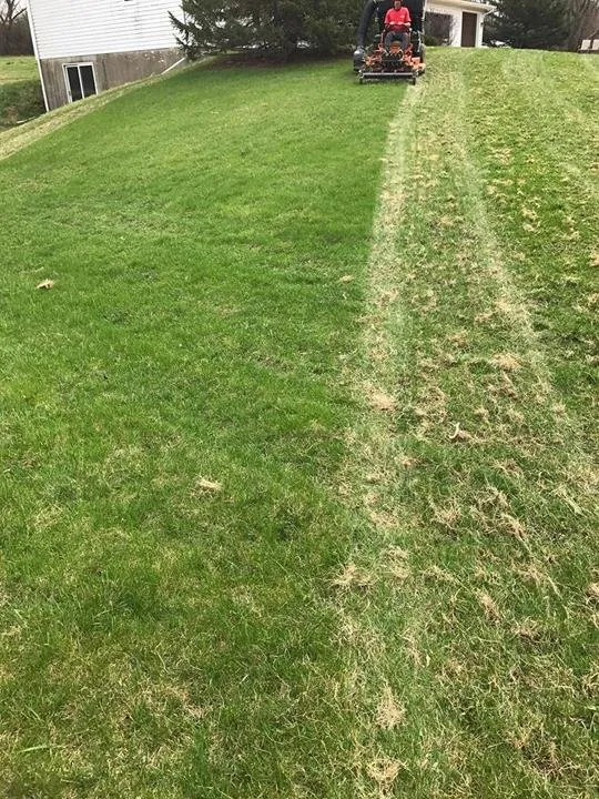 Expert yard cleanup service experts serving Oregon, WI - Johnson Lawncare and Landscape