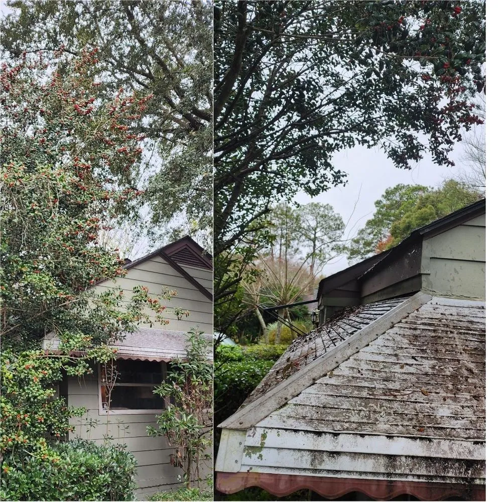 Local lawn care service experts serving Hilton Head, SC - Johnson Lawncare Service