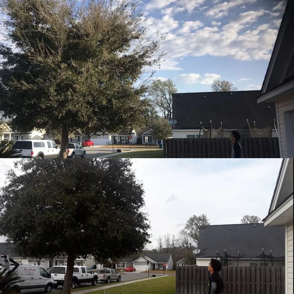 Custom lawn mowing service in Hilton Head, SC - Johnson Lawncare Service