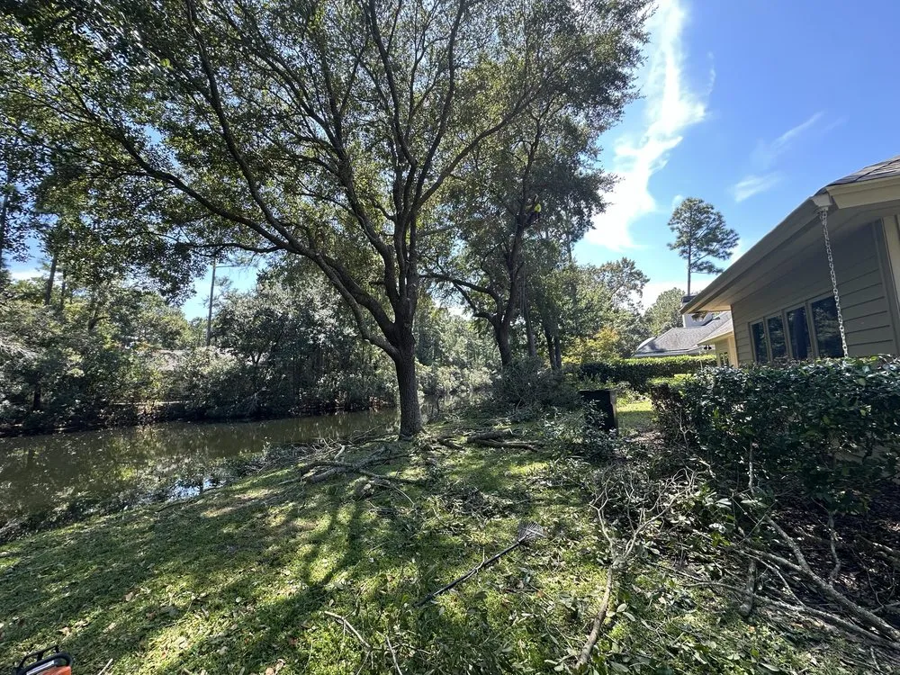 Affordable lawn care service in Hilton Head, SC - Johnson Lawncare Service