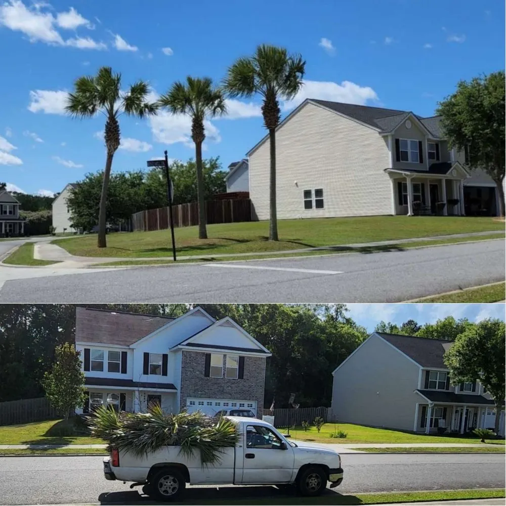 Trusted yard maintenance in Hilton Head, SC by Johnson Lawncare Service