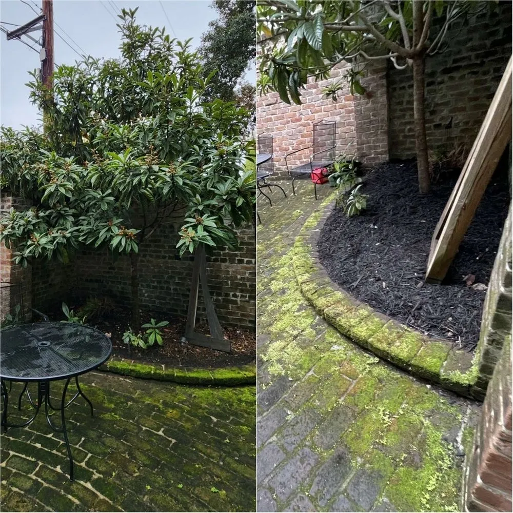 Custom lawn care service in Hilton Head, SC - Johnson Lawncare Service