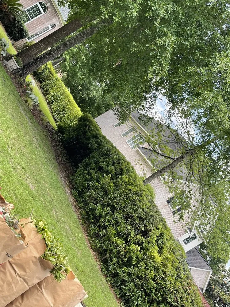 Trusted residential landscaping in Hilton Head, SC by Johnson Lawncare Service