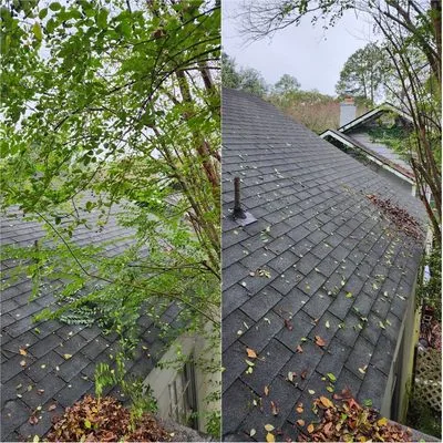 Johnson Lawncare Service