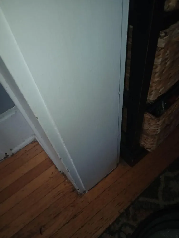 Trusted yard maintenance for outdoor upgrades across Albion, NY - Johnson Services