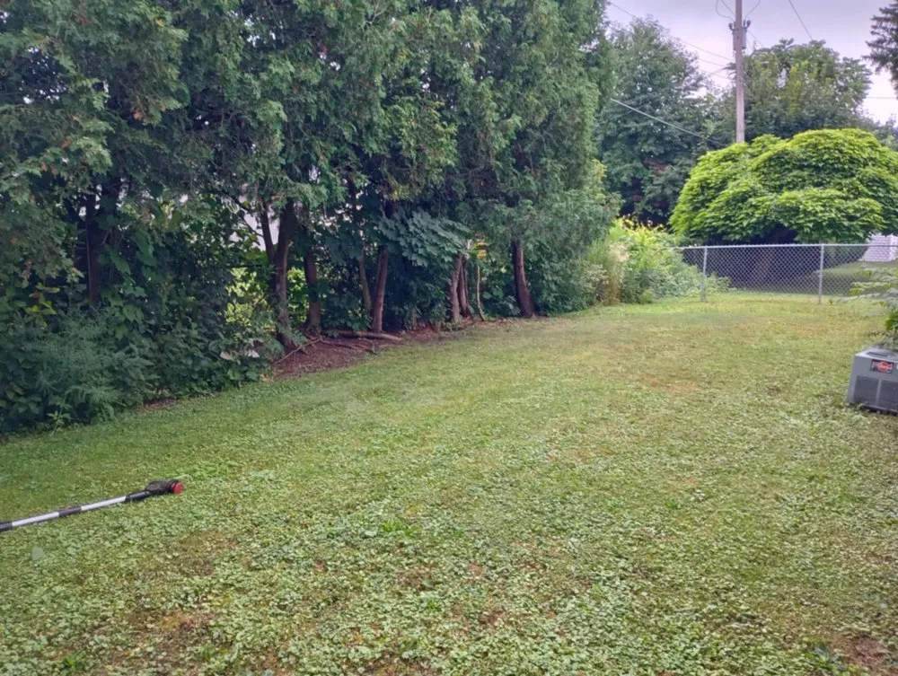 Custom landscape design for year-round maintenance across Albion, NY - Johnson Services