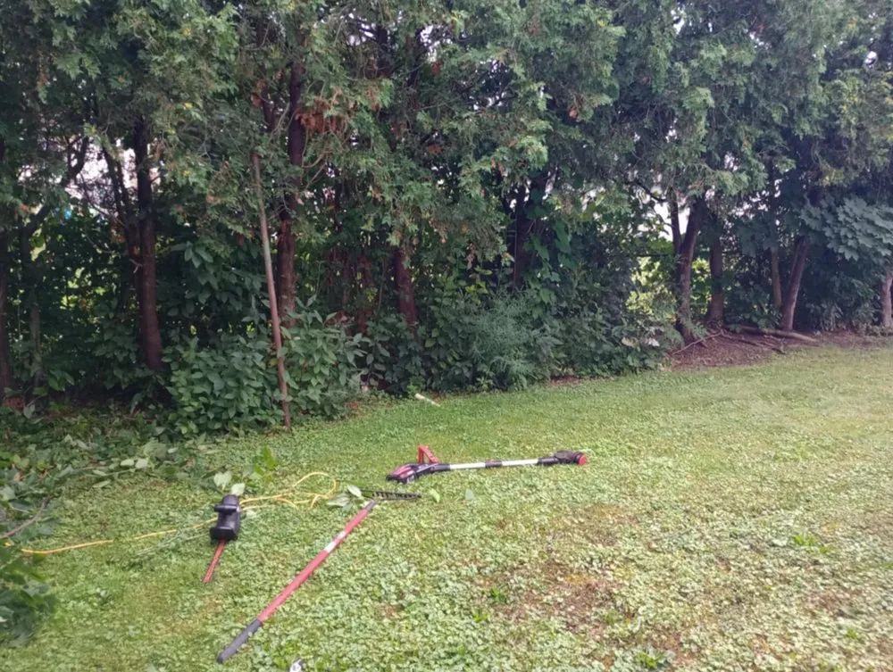 Custom landscape installation for beautiful yards across Albion, NY - Johnson Services