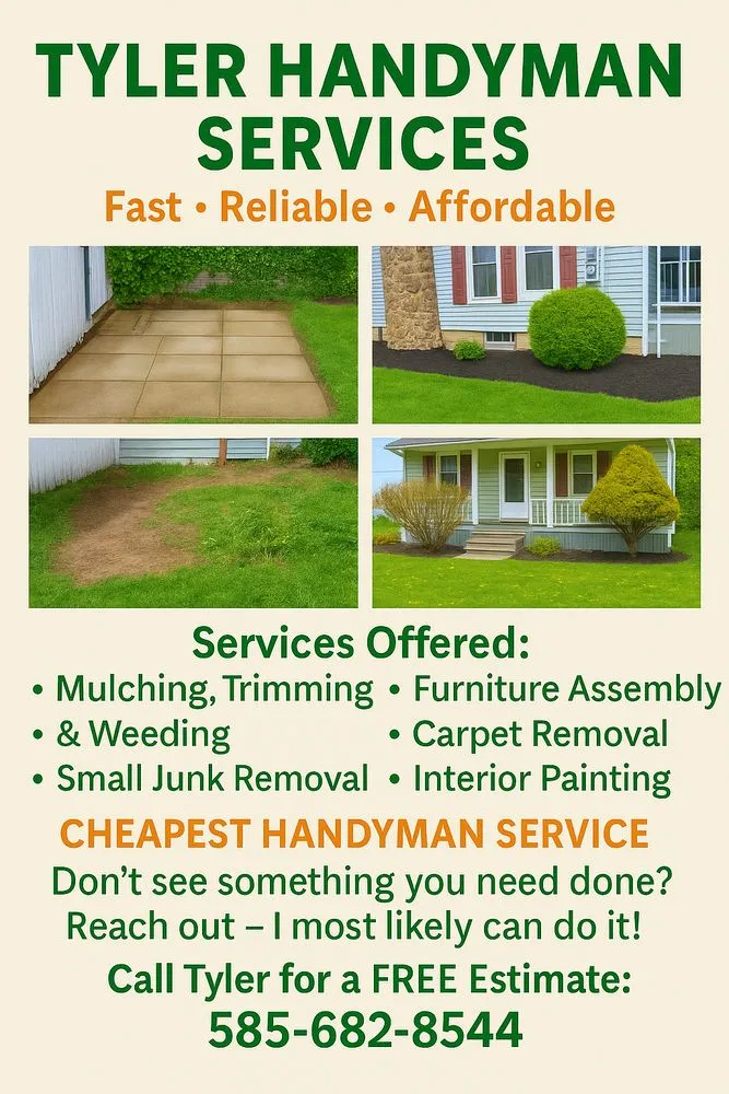 Top-rated yard cleanup service in Albion, NY - Johnson Services