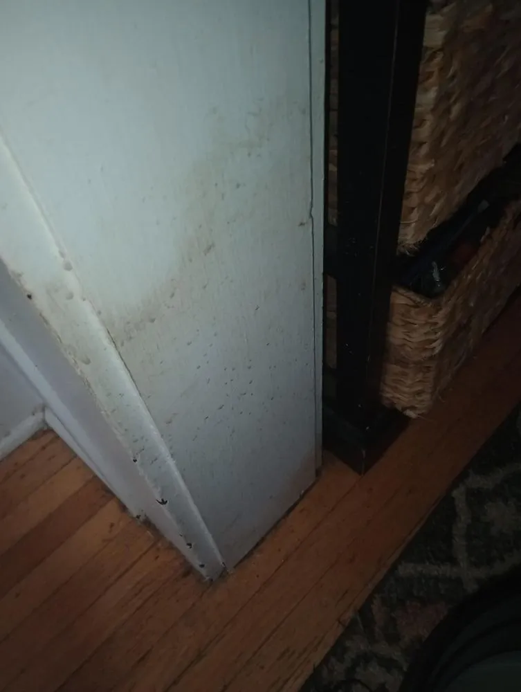 Trusted landscape installation experts serving Albion, NY - Johnson Services