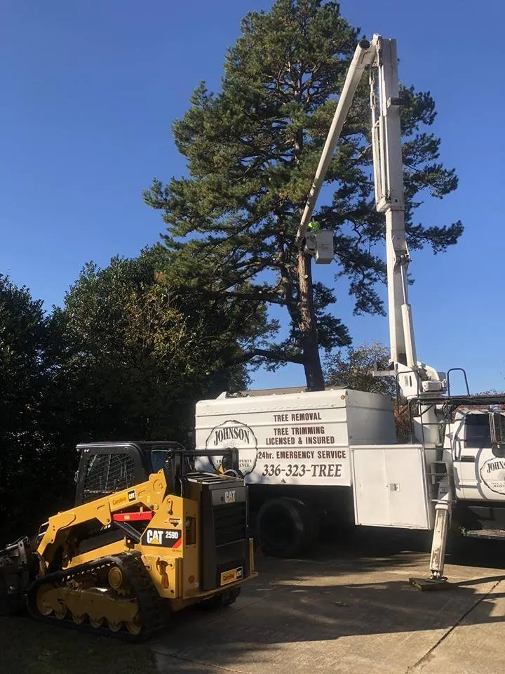 Reliable landscape installation with custom design in Eden, NC by Johnson Tree & Property Maintenance