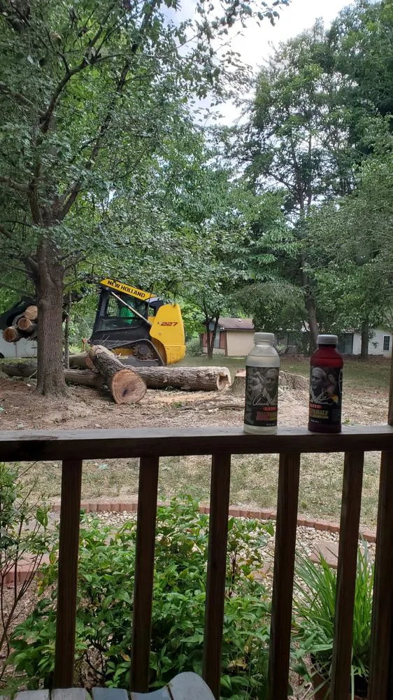 Affordable lawn mowing service for beautiful yards across Eden, NC - Johnson Tree & Property Maintenance