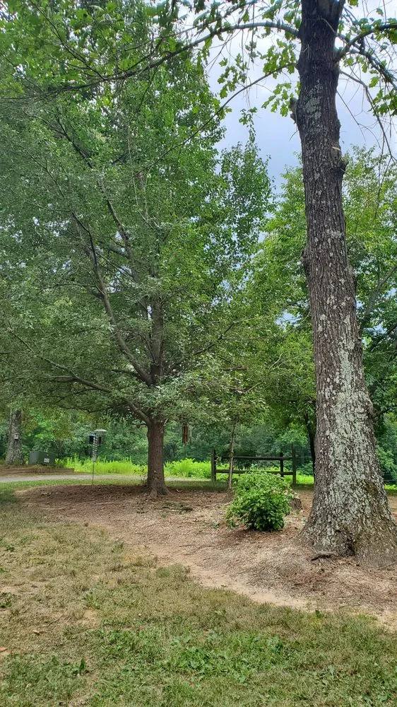 Top-rated landscape design experts serving Eden, NC - Johnson Tree & Property Maintenance