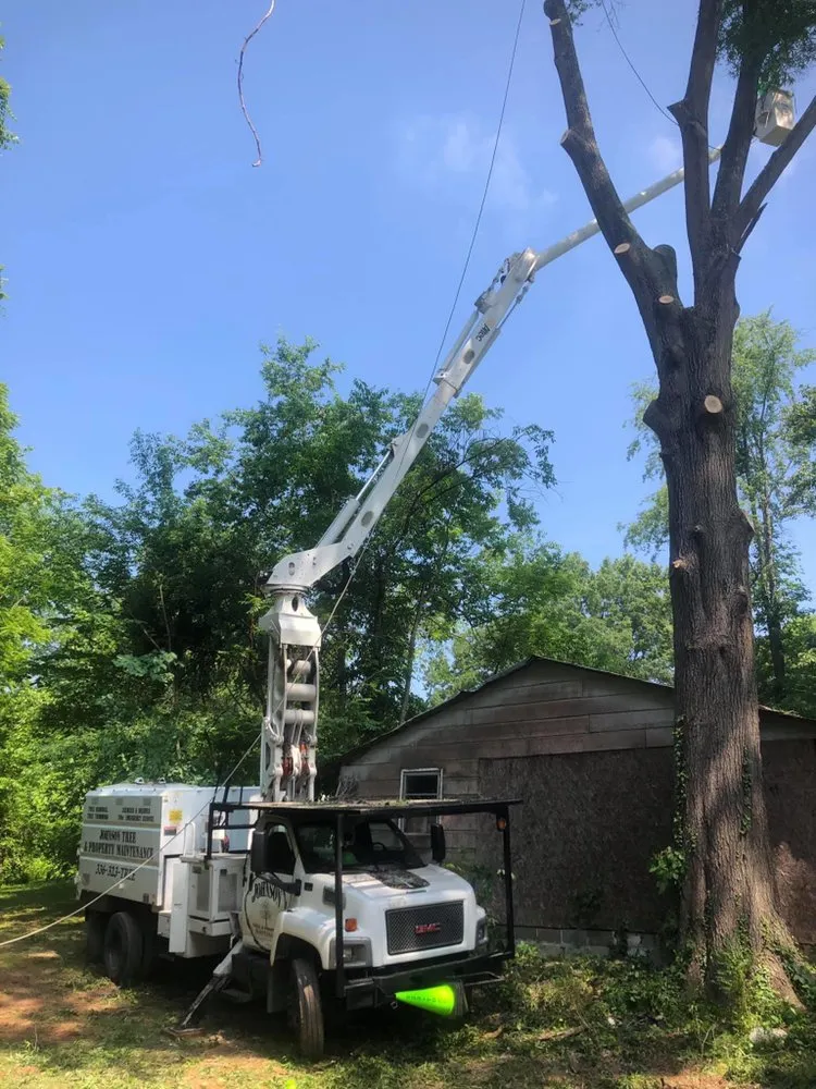 Top-rated residential landscaping for homes in Eden, NC by Johnson Tree & Property Maintenance