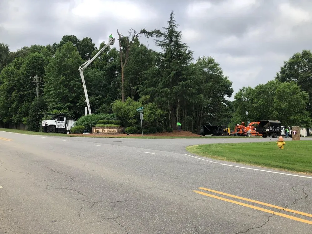 Top-rated garden landscaping near you across Eden, NC - Johnson Tree & Property Maintenance