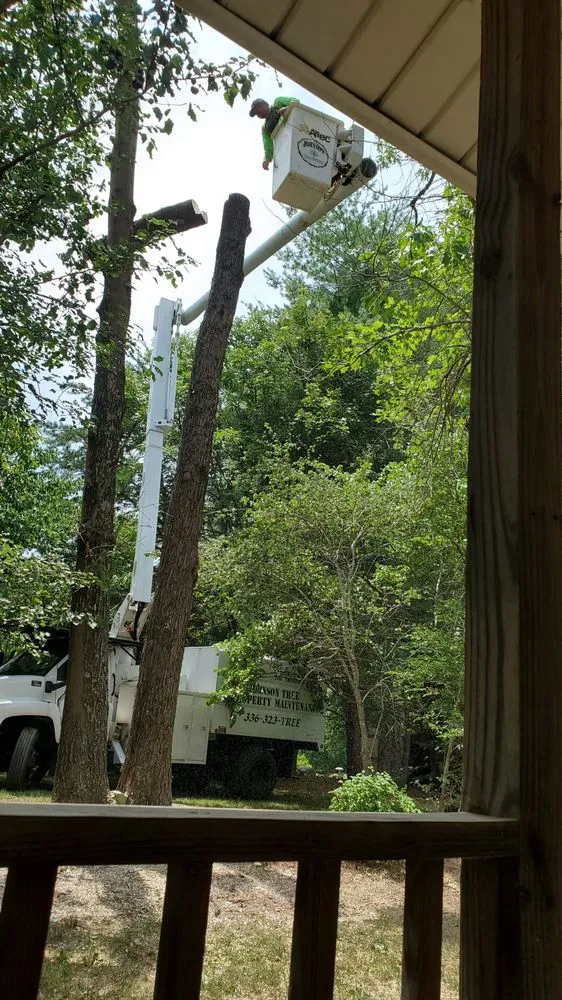 Local yard maintenance in Eden, NC - Johnson Tree & Property Maintenance