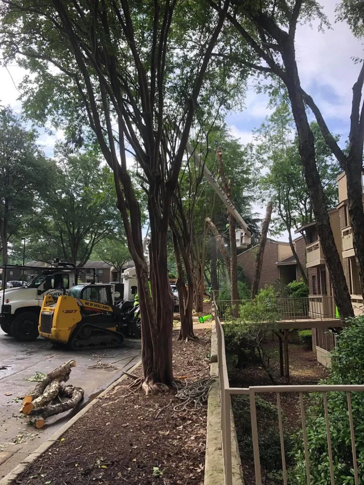 Reliable landscaping services near you in Eden, NC by Johnson Tree & Property Maintenance