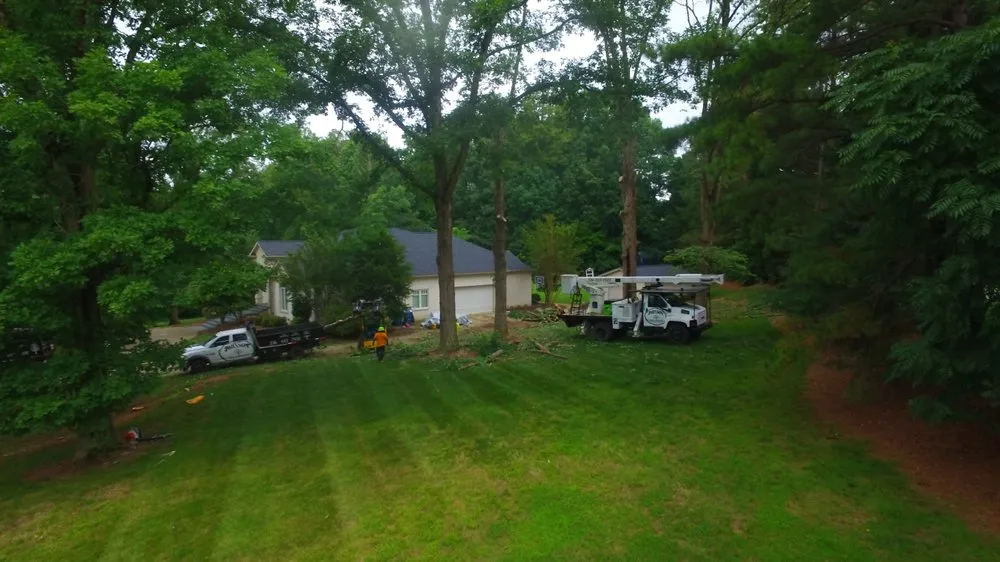 Local garden landscaping in Eden, NC - Johnson Tree & Property Maintenance