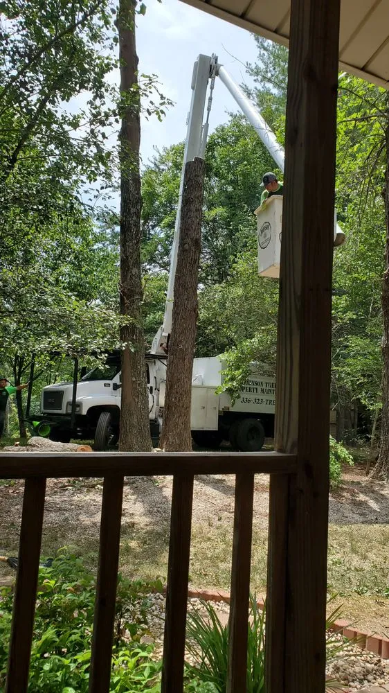 Reliable yard cleanup service in Eden, NC by Johnson Tree & Property Maintenance