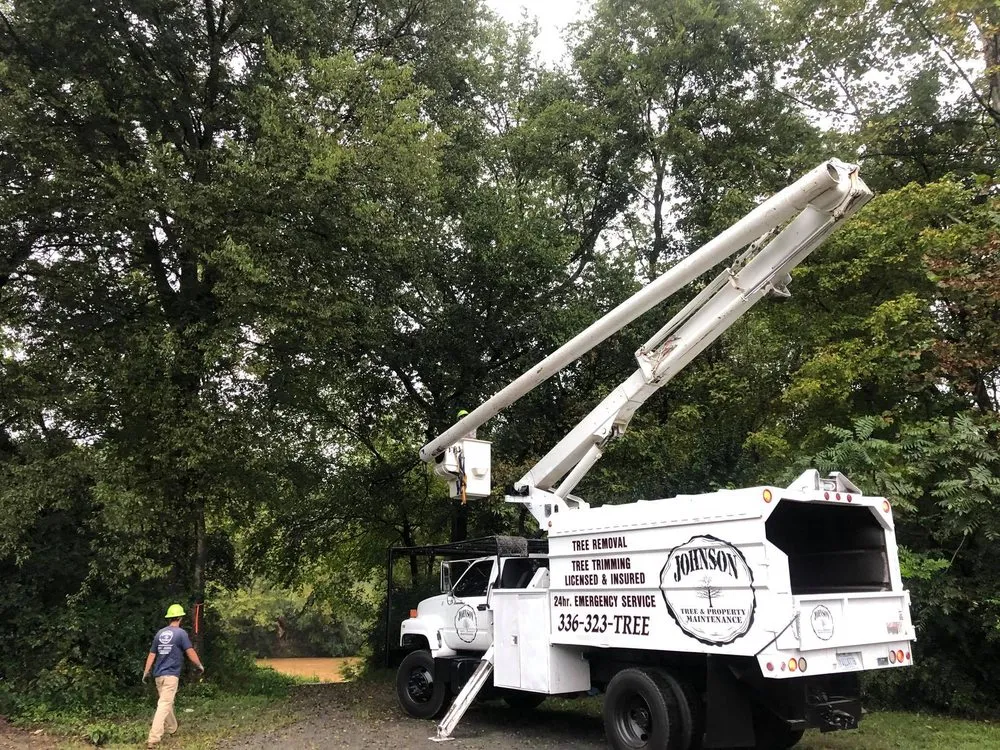 Affordable lawn care service in Eden, NC - Johnson Tree & Property Maintenance