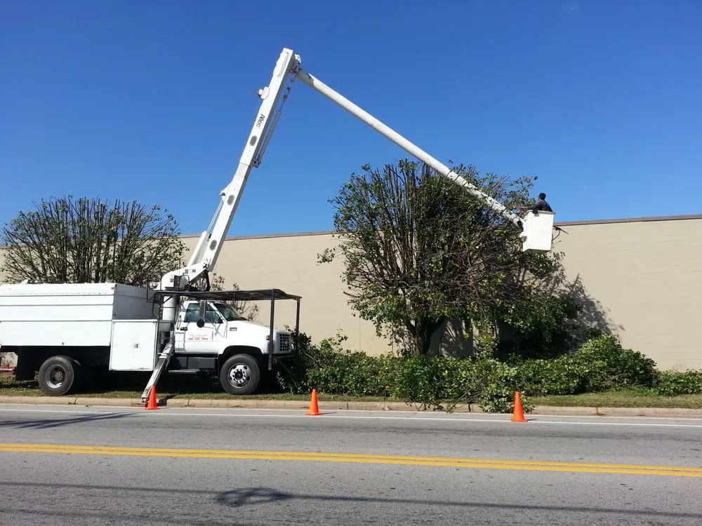 Affordable lawn care service for beautiful yards in Eden, NC by Johnson Tree & Property Maintenance