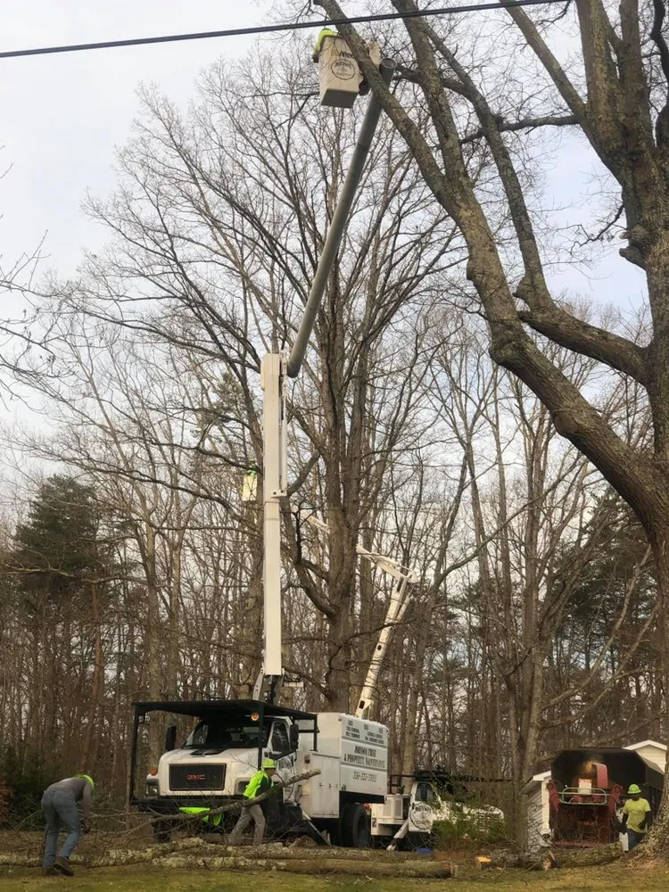 Custom residential landscaping in Eden, NC - Johnson Tree & Property Maintenance