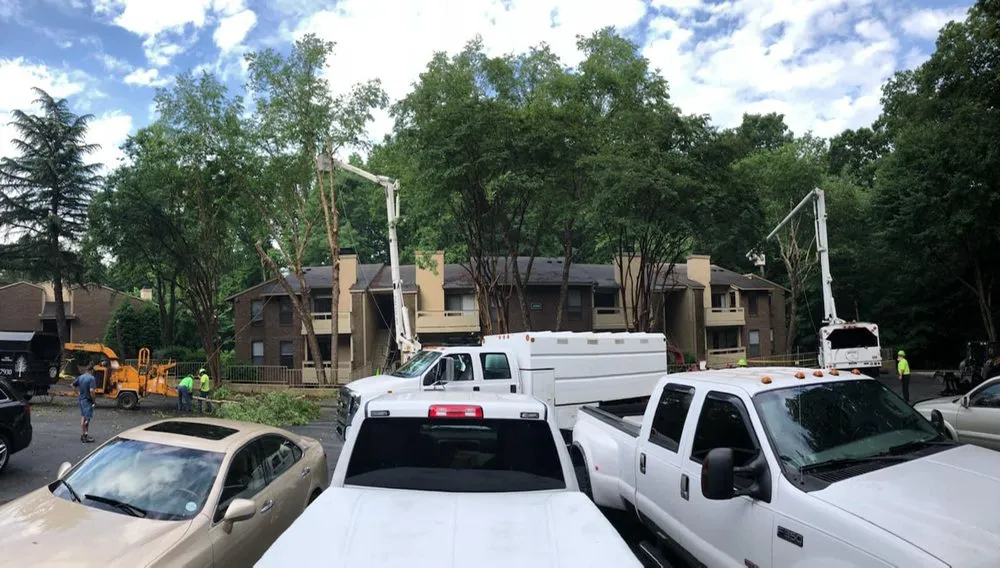 Local yard maintenance with custom design across Eden, NC - Johnson Tree & Property Maintenance