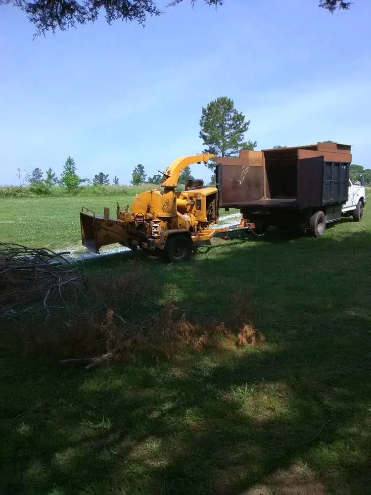 Affordable landscape installation for outdoor upgrades in Bahama, NC by Johnson Tree Experts
