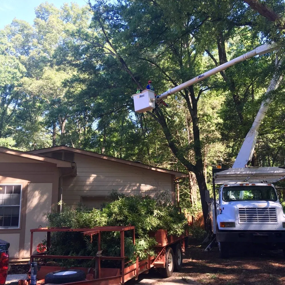 Affordable landscaping services with custom design in Bahama, NC by Johnson Tree Experts