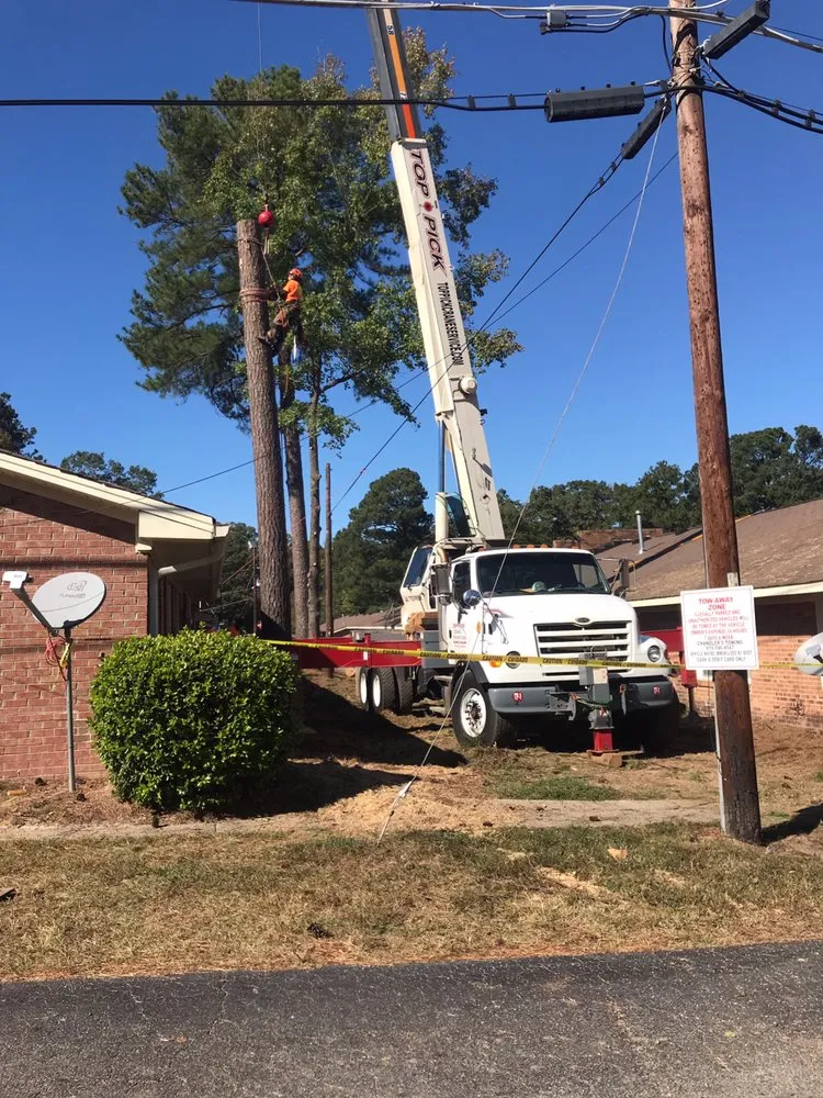 Top-rated yard cleanup service in Bahama, NC by Johnson Tree Experts