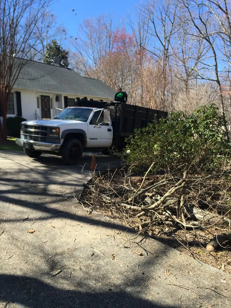 Expert residential landscaping in Bahama, NC - Johnson Tree Experts