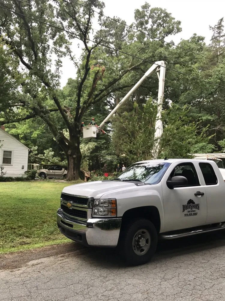 Affordable landscape design near you in Bahama, NC by Johnson Tree Experts