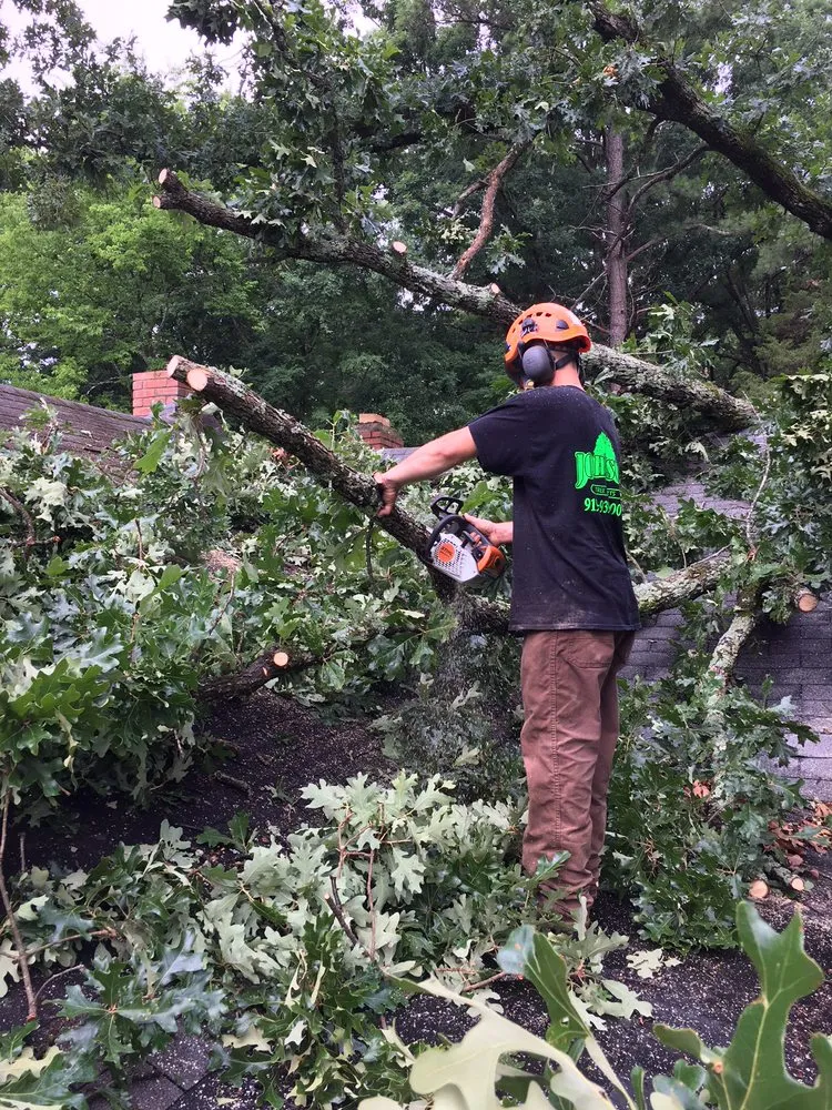 Custom lawn care service experts serving Bahama, NC - Johnson Tree Experts