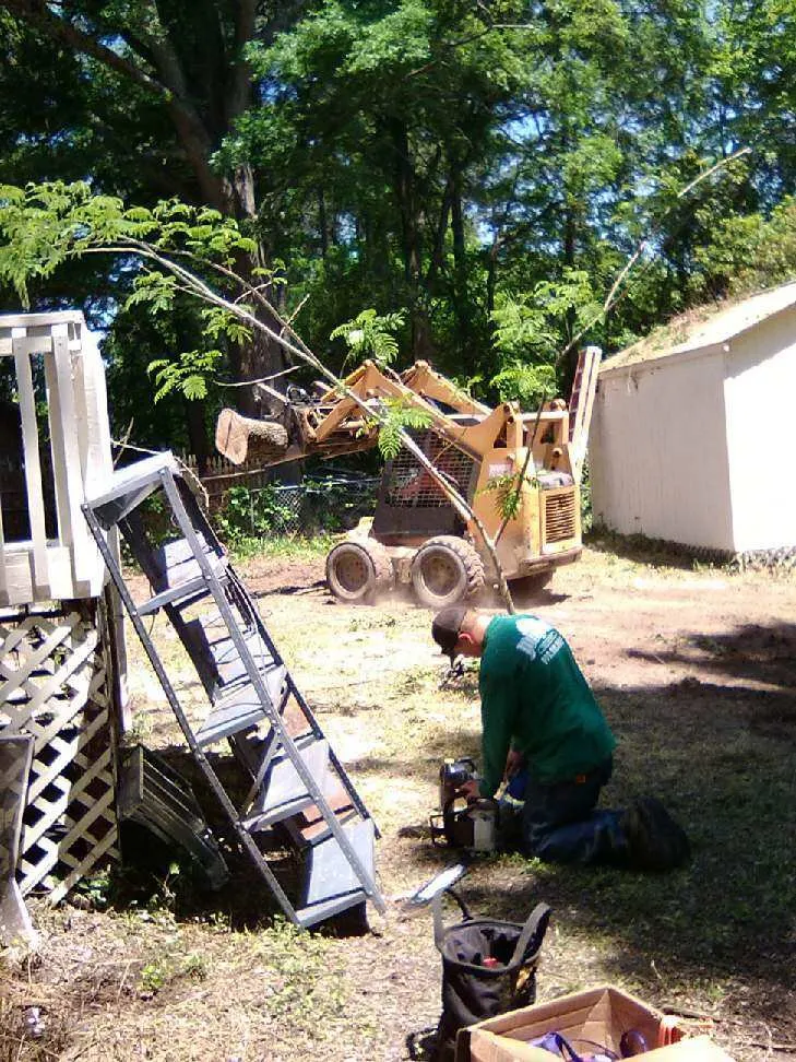 Top-rated yard maintenance for beautiful yards in Bahama, NC by Johnson Tree Experts