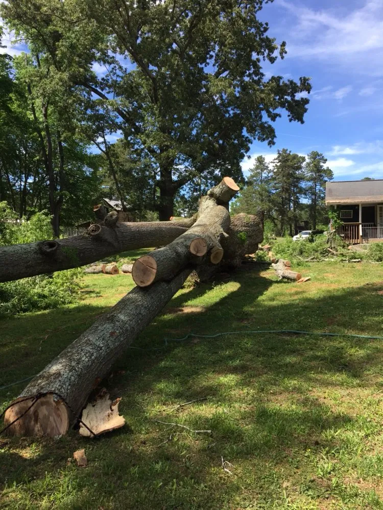 Custom residential landscaping experts serving Bahama, NC - Johnson Tree Experts