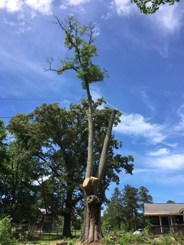 Reliable yard maintenance with custom design in Bahama, NC by Johnson Tree Experts