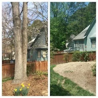 Expert lawn care service experts serving Bahama, NC - Johnson Tree Experts