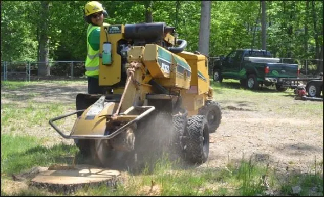 Trusted yard cleanup service in Fort Wayne, IN by Johnson Tree Service Fort Wayne