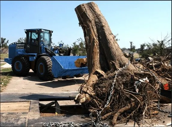 Custom lawn care service near you across Fort Wayne, IN - Johnson Tree Service Fort Wayne