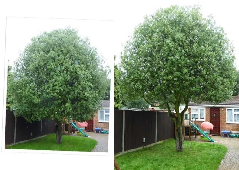 Local landscape installation for homes in Fort Wayne, IN by Johnson Tree Service Fort Wayne