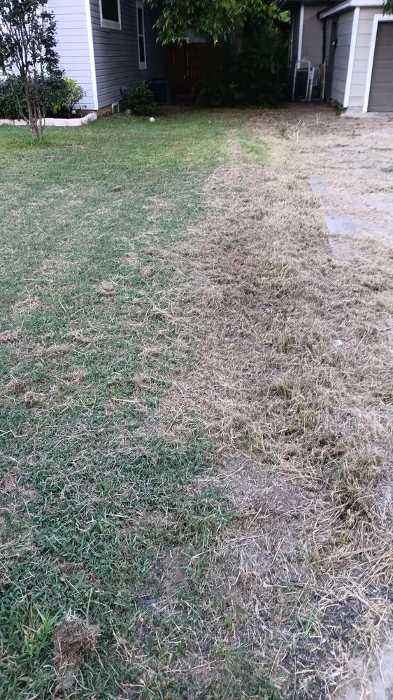 Custom residential landscaping with custom design in Paris, TX by Johnsons Affordable Lawn Care and Landscaping