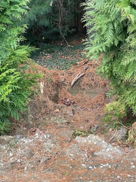 Trusted landscaping services in Fruitland, MD - Johnson's All-Scapes