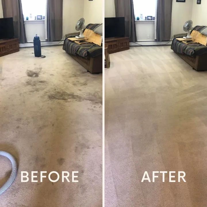 Top-rated landscaping services experts serving Anchorage, AK - Johnson's Carpet Cleaning