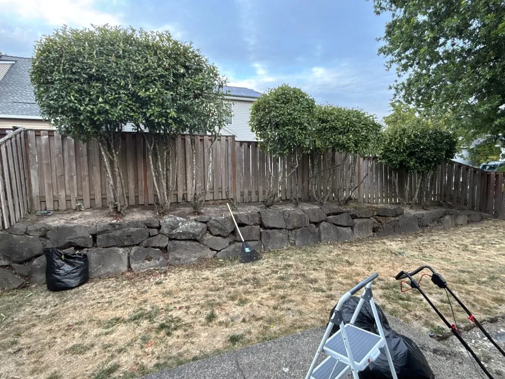 Expert outdoor landscaping in Banks, OR by Johnson's Green Work