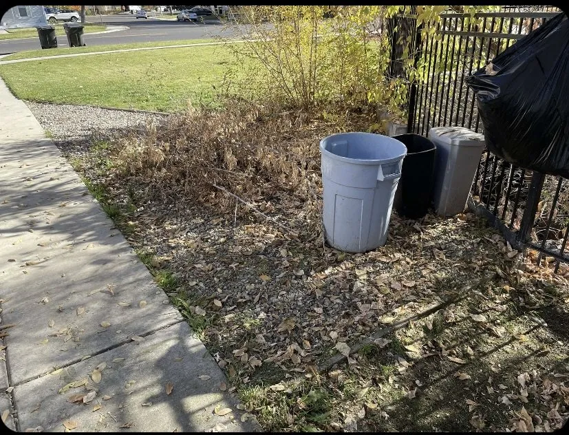 Expert lawn care service for beautiful yards across Provo, UT - Johnson's Handyman and Removal Services