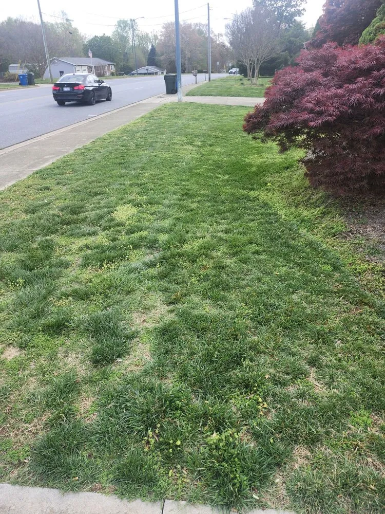 Expert lawn care service near you across Hickory, NC - Johnsons Landscaping