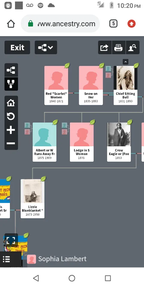 Local landscape installation experts serving Huntsville, TX - Johnson's Landscaping