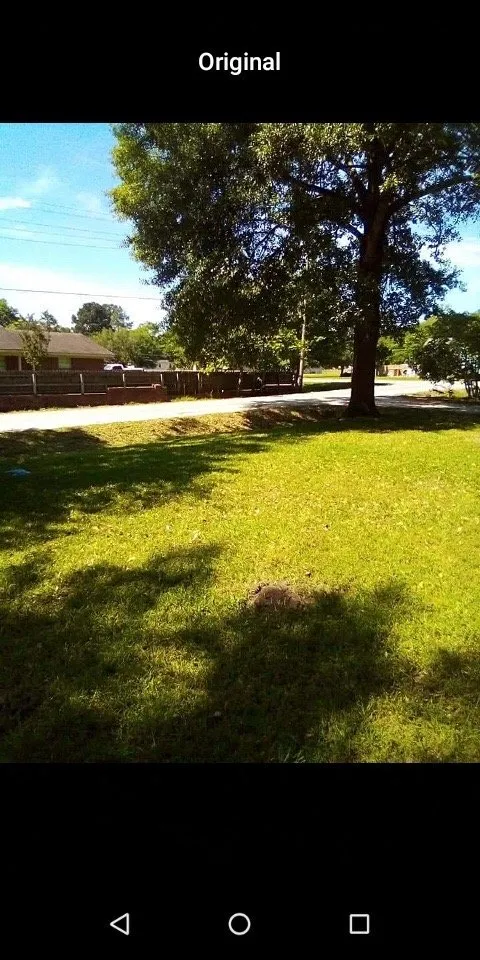 Professional lawn care service for year-round maintenance in Huntsville, TX by Johnson's Landscaping